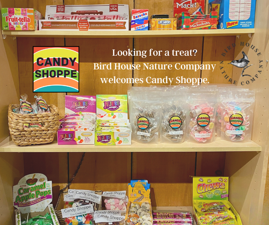 Sweet Treats & Downtown Orillia Where's Waldo Bird House Nature Company