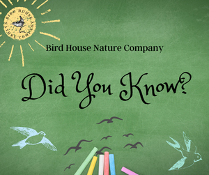Did You Know - Bird Trivia