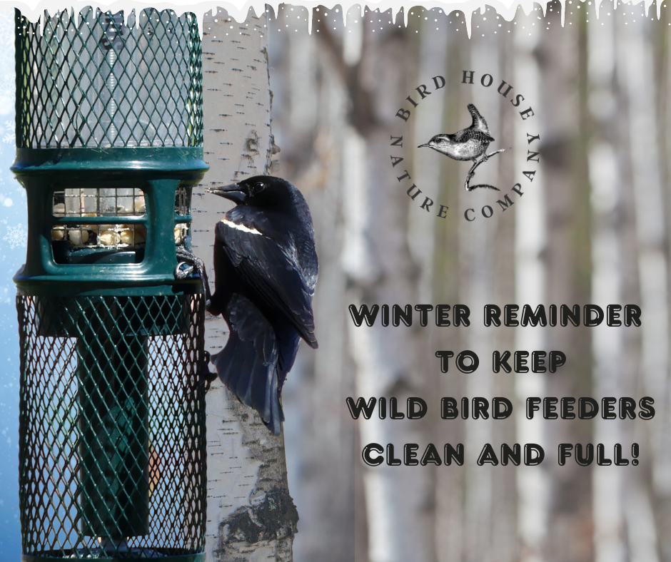 Bird Feeders and Winter Care