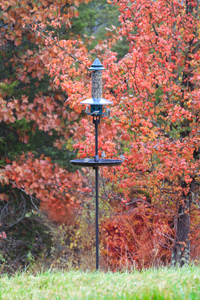 Squirrel Buster Pole Mount Kit