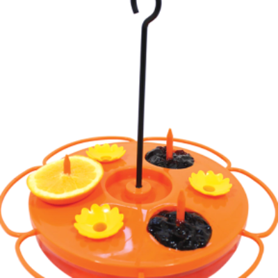 Oriole Orange Jelly Nectar Feeder