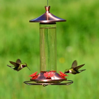Elegant Copper Top Hummingbird Feeder