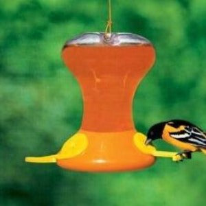 Oriole Feeder with Bee Guards