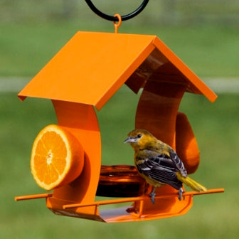 Oriole Feeder with Jelly Dish and Orange Holders