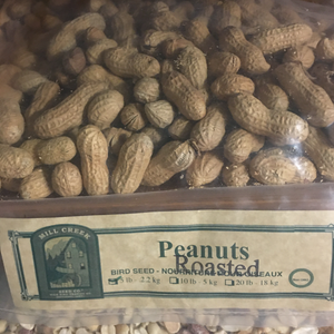 Peanut In Shell Roasted