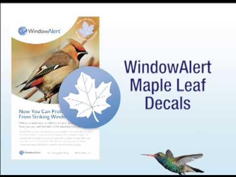 Maple Leaf Anti Collision Window Decals