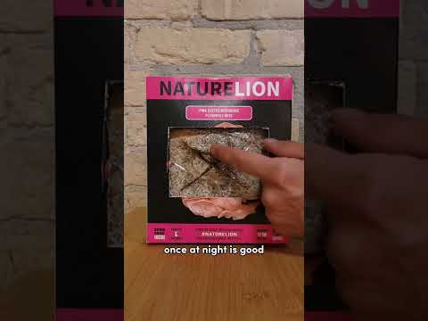 Nature Lion Pink Oyster Mushroom Kit